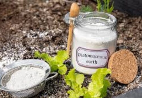 How to Care for and Maintain Diatomite Products